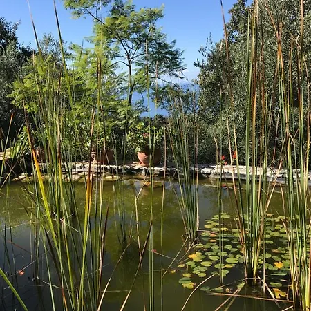 Hotel Bio Mani Sonnenlink *