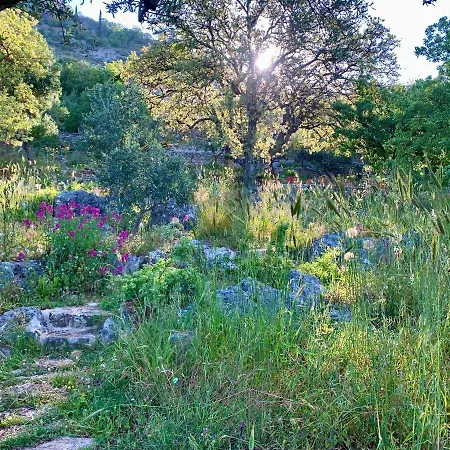 Bio Mani Sonnenlink Pirgos (Mani)