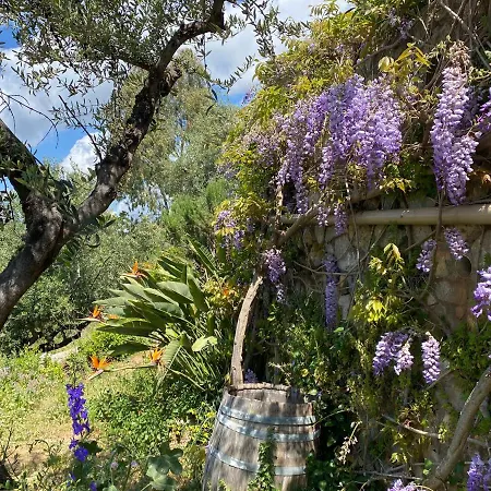 Bio Mani Sonnenlink Hotel *