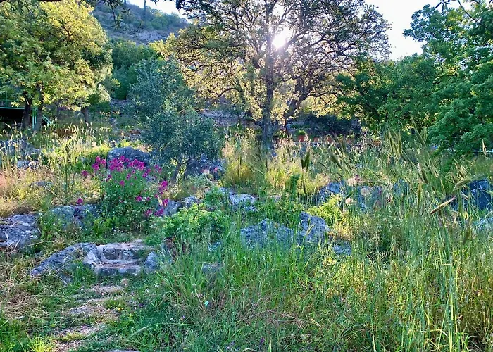 Bio Mani Sonnenlink Πύργος