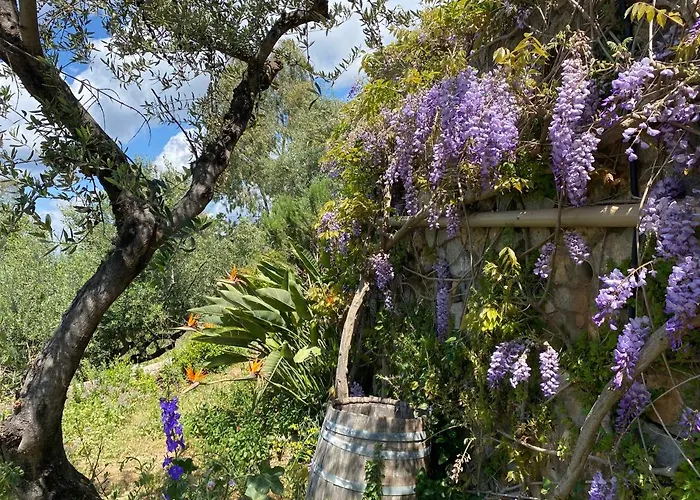 Bio Mani Sonnenlink Hotel *