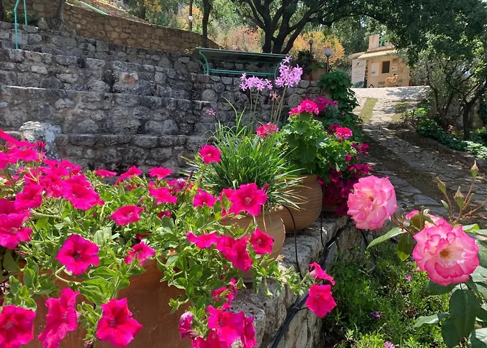 Bio Mani Sonnenlink * Pirgos (Mani)